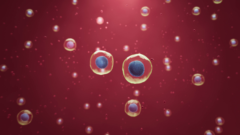 3D-Animation von creanovo - Laborumgebung