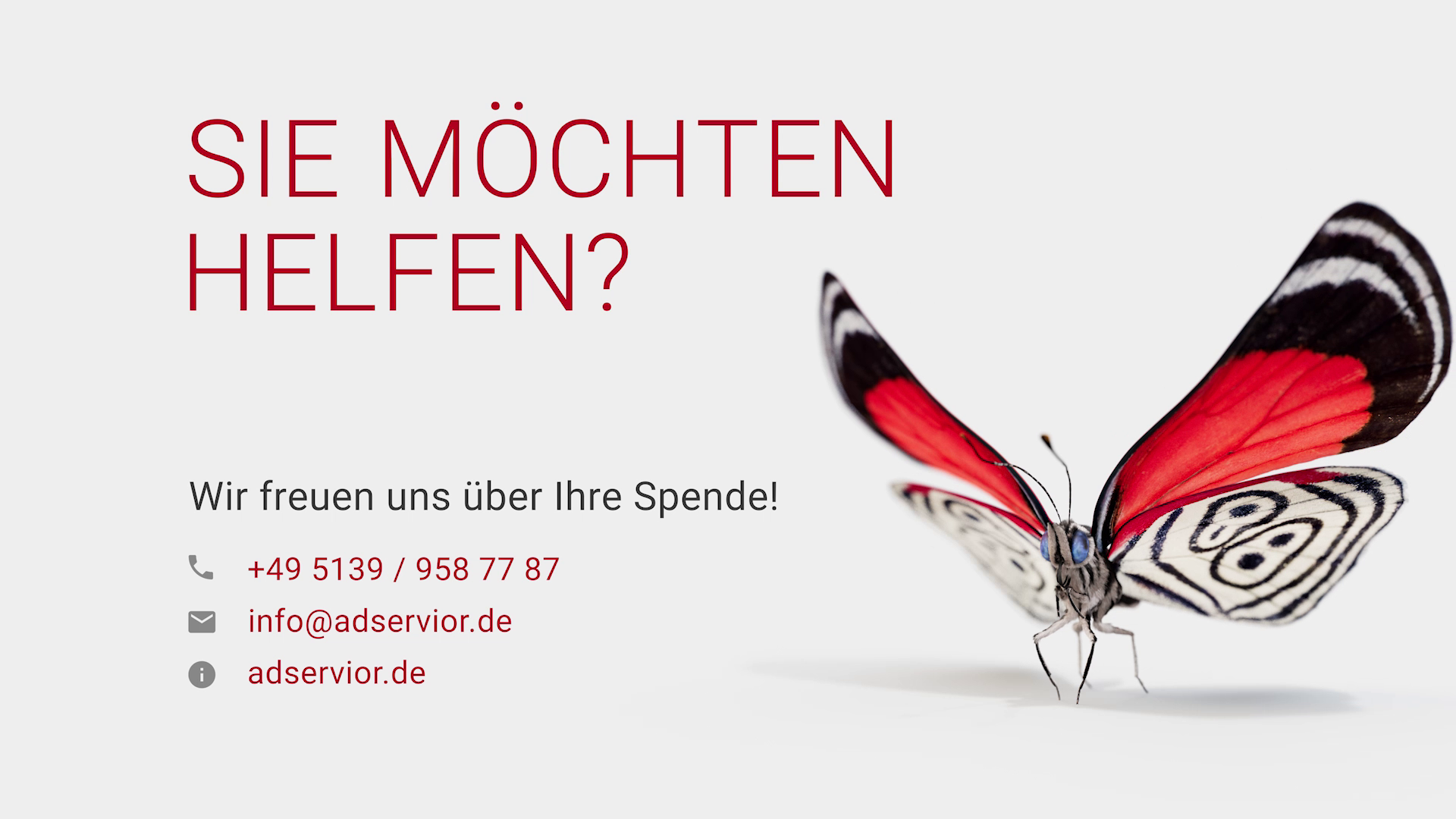 Ein 3D-Modell eines Schmetterlings in Nahaufnahme.