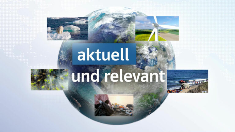 Globus mit aktuellen und relevanten Fotos aus aller Welt